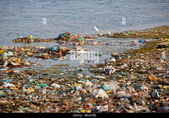 pollution-along-the-riverbank-of-the-ganges-river-in-varanasi-india-bea2r0.jpg