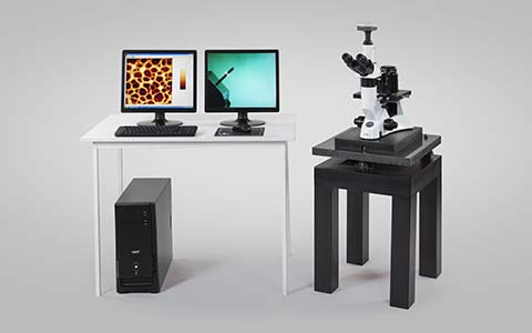 bio-atomic-force-microscopy.jpg