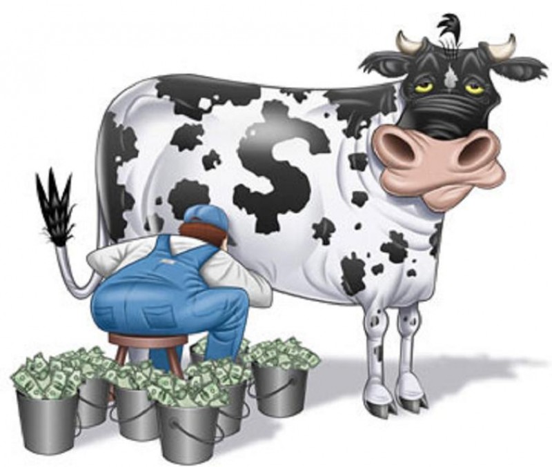 01-cash-cow-e1282946220462.jpg