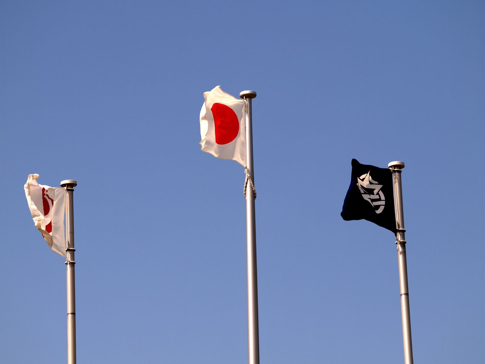 Japanese_flags_in_Okinawa.jpg