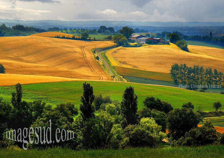 paysage-campagne-aude-france-P2-3648.jpg