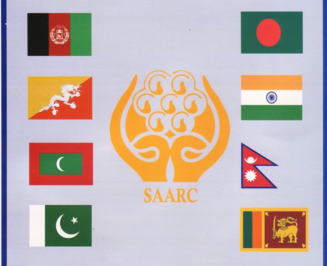 SAARC+sUMMIT+2011.jpg