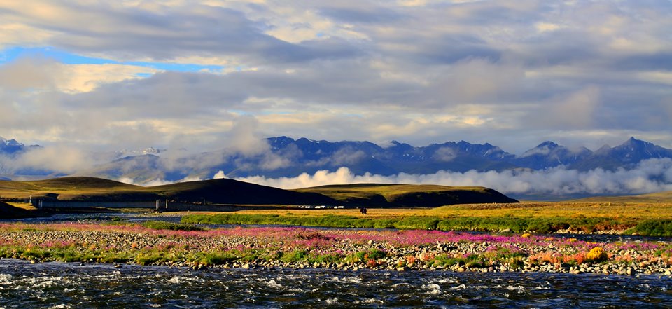 Deosai-Plains-Pakistan.jpg