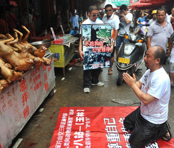 Non-Chinese-Take-To-Twitter-To-Stop-Dog-Meat-Festival.jpg