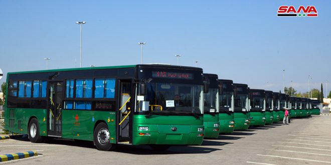 buses-1.jpg