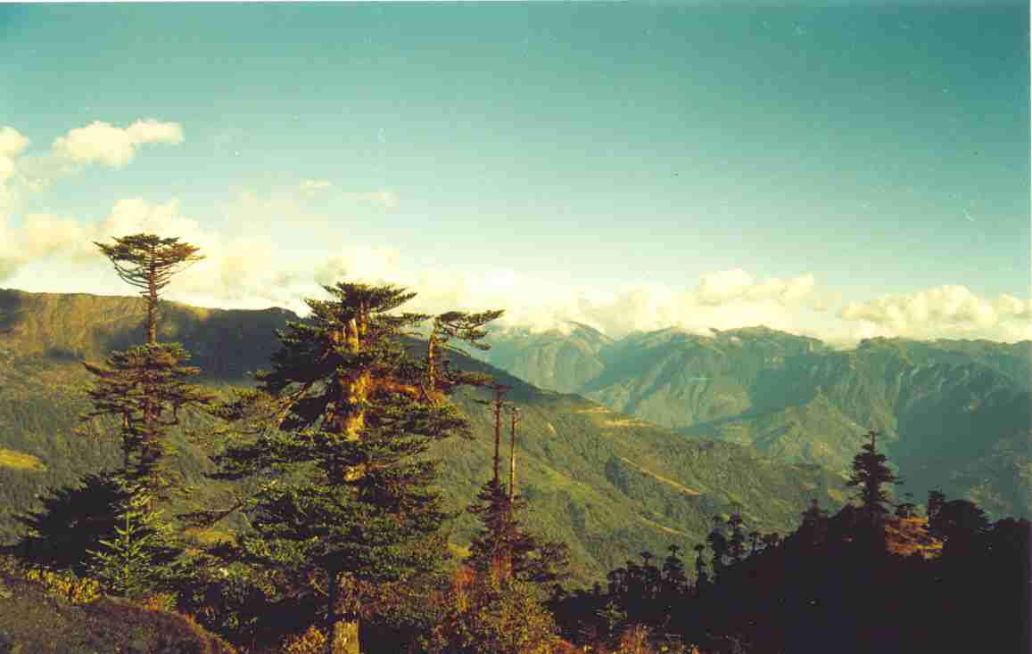 tawang.jpg