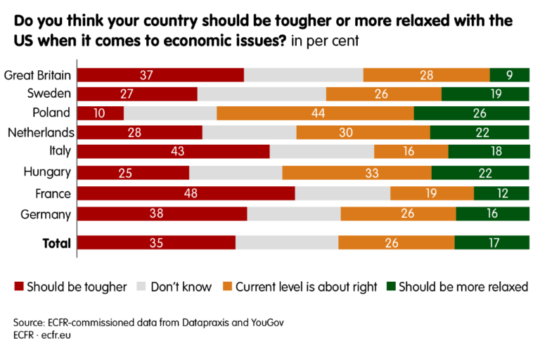 europeans-america-11_US_tougher_issues-1-768x498.png
