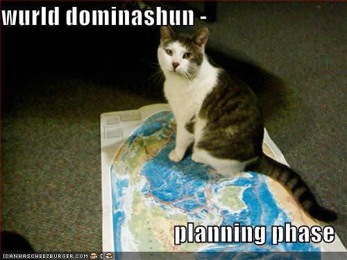 Funny-pictures-your-cat-plans-world-domination.jpg