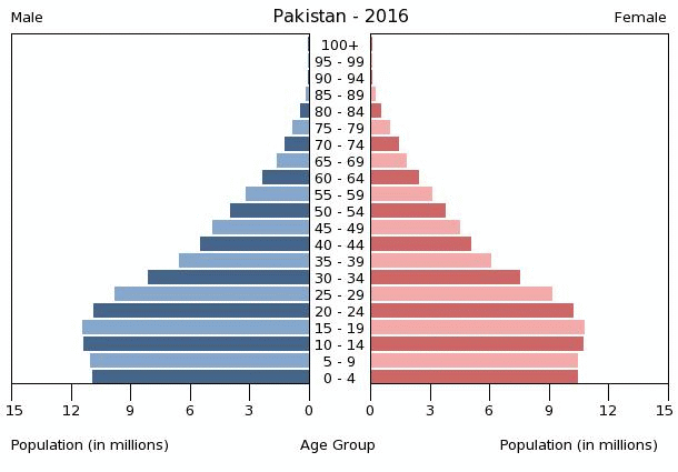 pakistan-population-pyramid-2016.gif