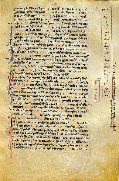 392px-Liber_abbaci_magliab_f124r.jpg