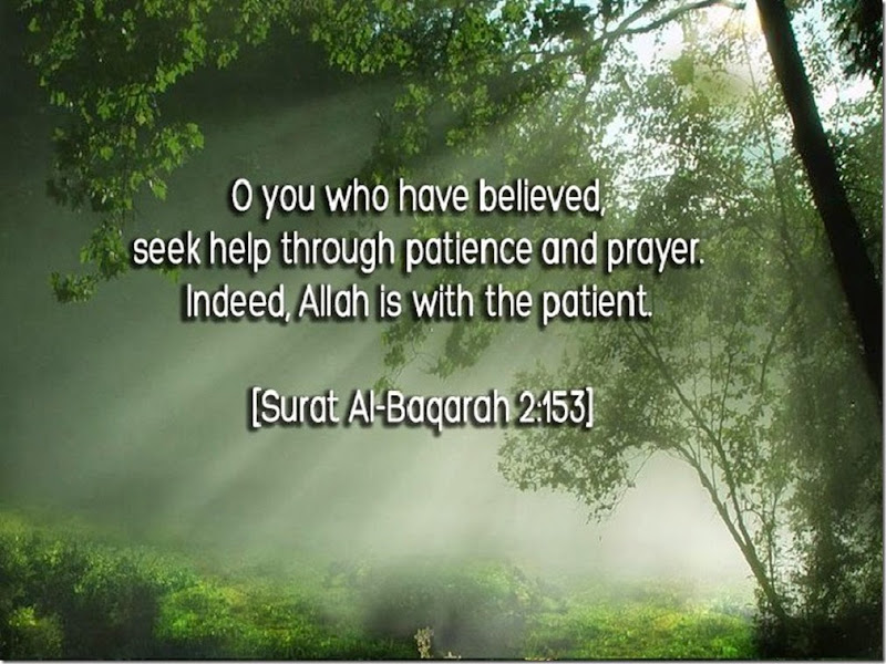 Seek%252520Help%252520Through%252520Patience%252520And%252520Prayer%252520Indeed%25252C%252520ALLAH%252520Is%252520With%252520The%252520Patient_thumb%25255B2%25255D.jpg