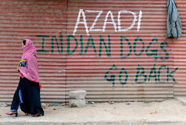 indian-dogs-go-back-srinagar-21-10-2010.jpg