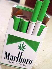 MarlboroGreen.jpg