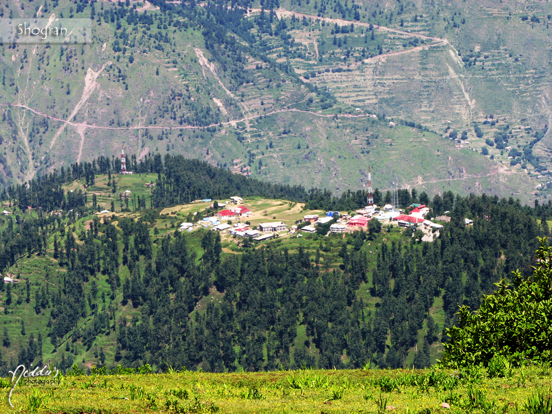 Shogran_by_smilyniddu.jpg