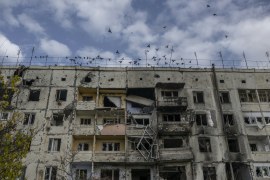 Birds fly over a damaged building in the formerly Russian-occupied village of Arkhanhelske in Ukraine's Kherson region on November 3, 2022 [File: Bulent Kilic/ AFP]