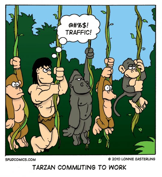 Jungle_Commute.jpg