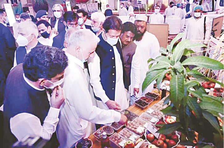 DERA ISMAIL KHAN: Prime Minister Imran Khan visits a research stall.—Dawn