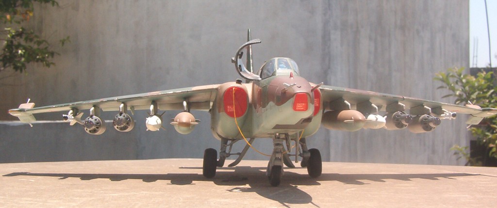 SU-25_1.jpg