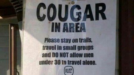 10-cougar-area-funny.jpg