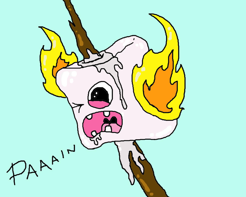 Marshmallow_Burning_by_benJamin_84.jpg