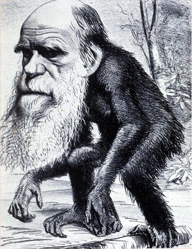 Darwin_monkey_cartoon.jpg