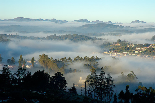 ooty-in-the-fog.jpg