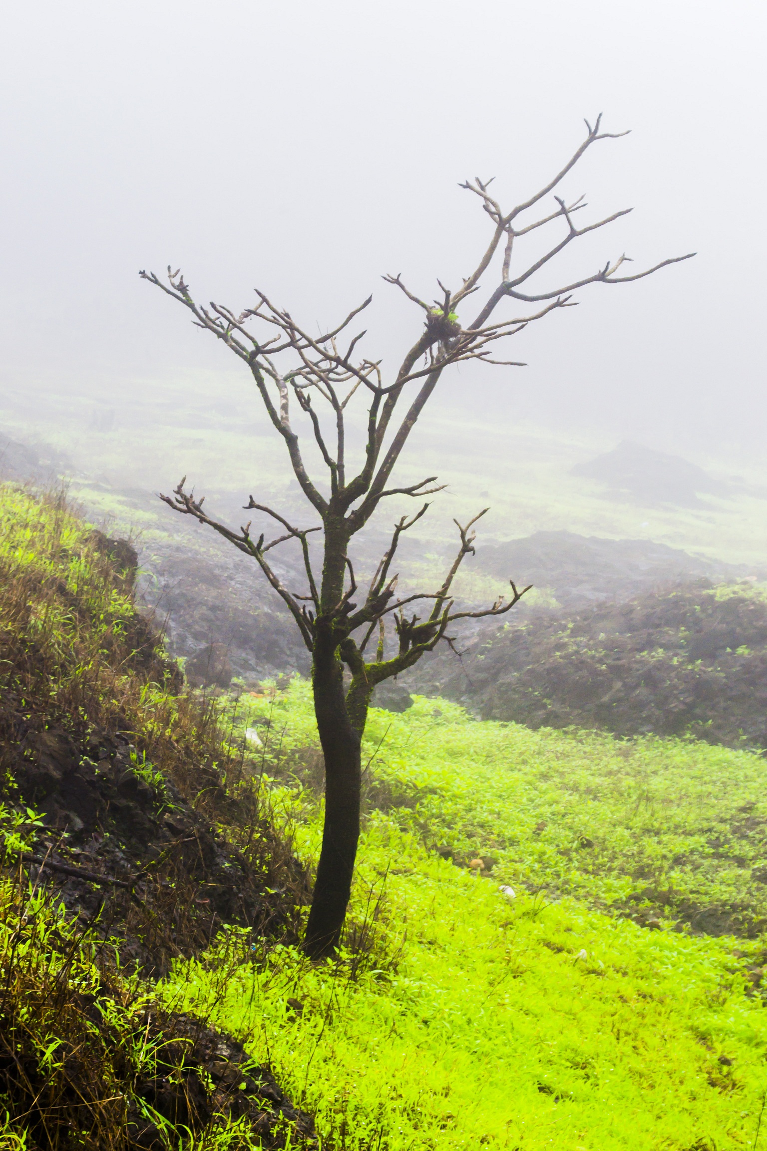 Lonavala_near_tiger_point.jpg