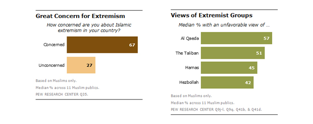 pew-survey-pic-1.jpg