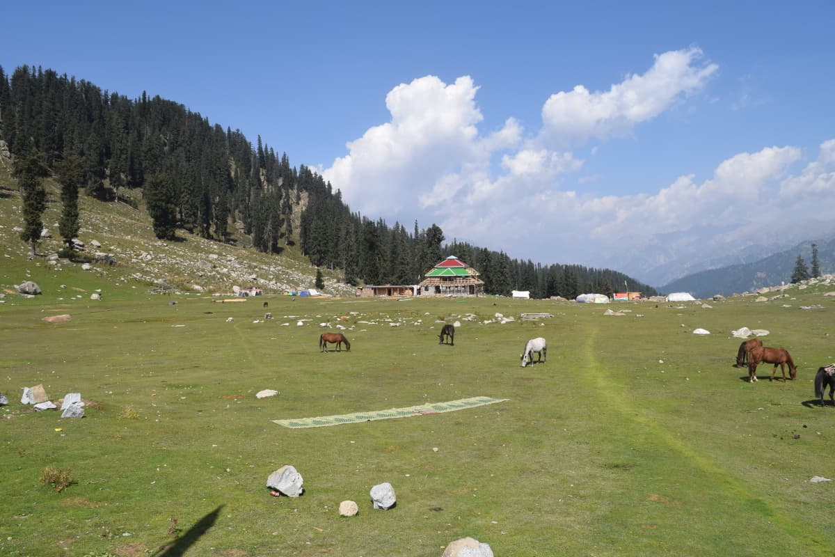 The Jahaz Banda meadows.