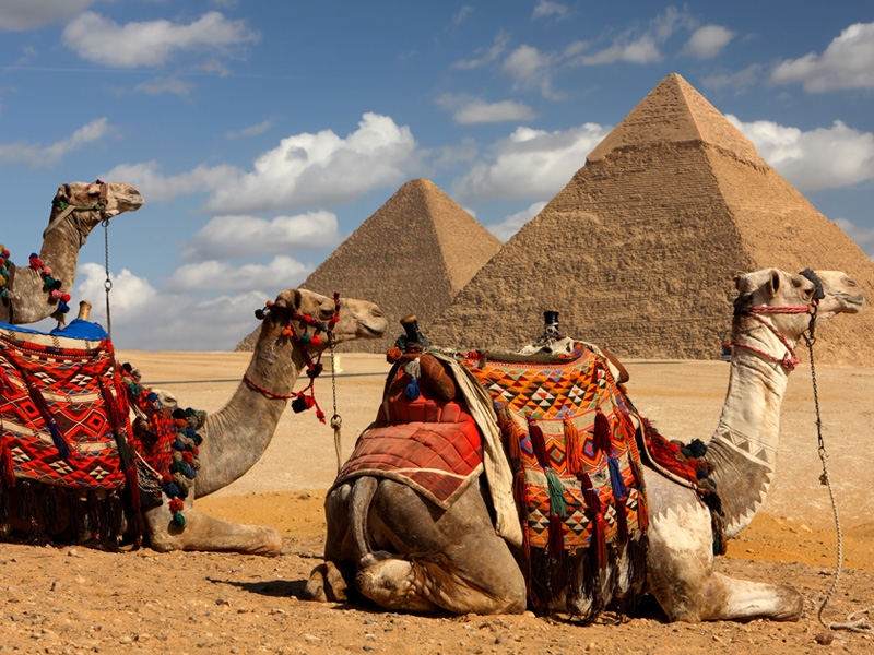 871026784_Giza_Camel_Ride3-800x600.jpg