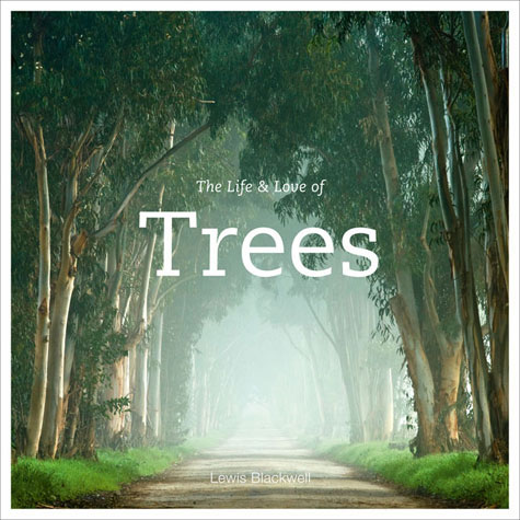 life-love-trees.jpg