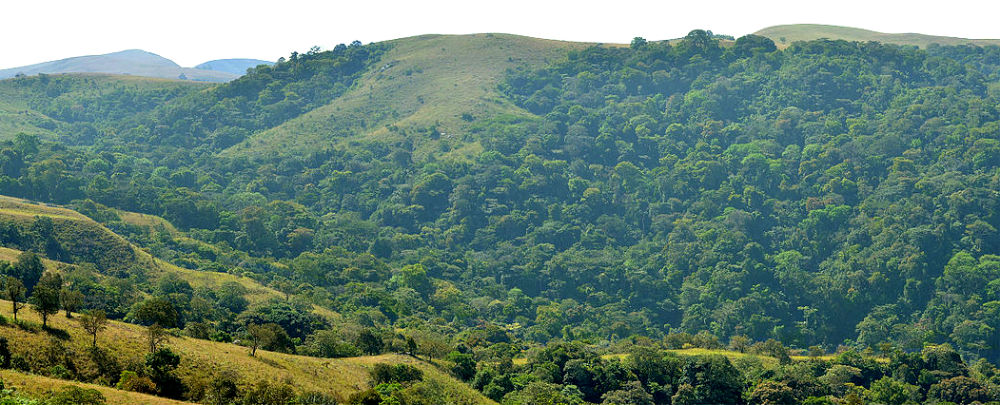 The Ngel Nyaki Forest Reserve in Taraba State, Nigeria. (Photo: Matt-W NZ)
