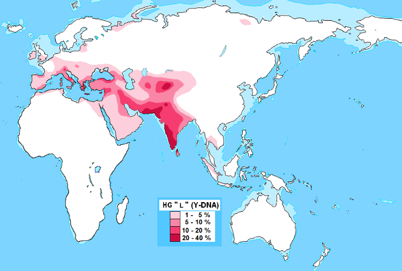 800px-Distribution_Haplogroup_L_Y-DNA.svg.png