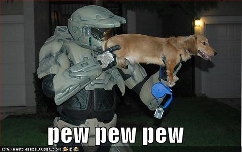 funny-pictures-halo-dog-pew.jpg