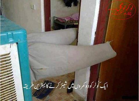 tumblr_mqc85vEydD1qj67mco1_500.jpg