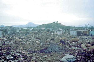 Landfill-Victoria-Brazil-300x199.jpg