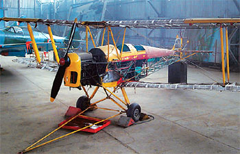 tiger_moth-350_120811121917.jpg