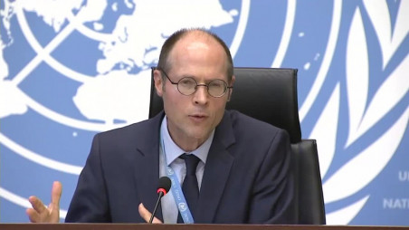 DSA may scare away potential investors: UN special rapporteur