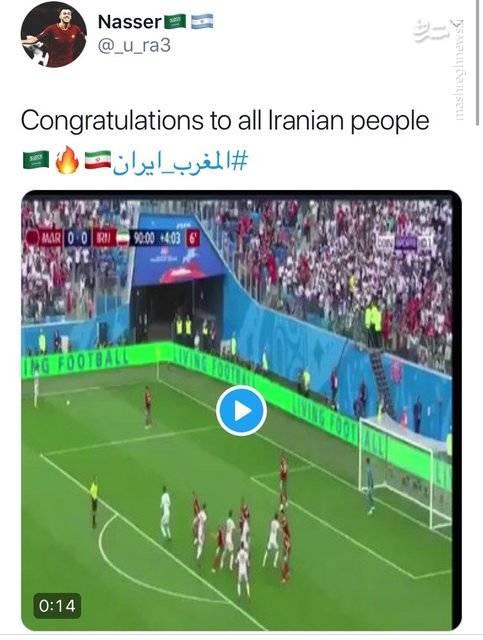 2271866.jpg
