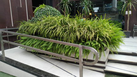 The ground floor of the building is surrounded by lush greenery. Photo: Cityscape International Ltd