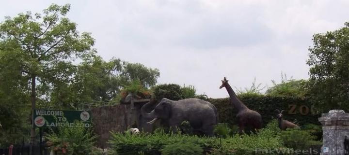 188201-Lahore-Zoo-2973546280060245091cClRuW-fs.jpg
