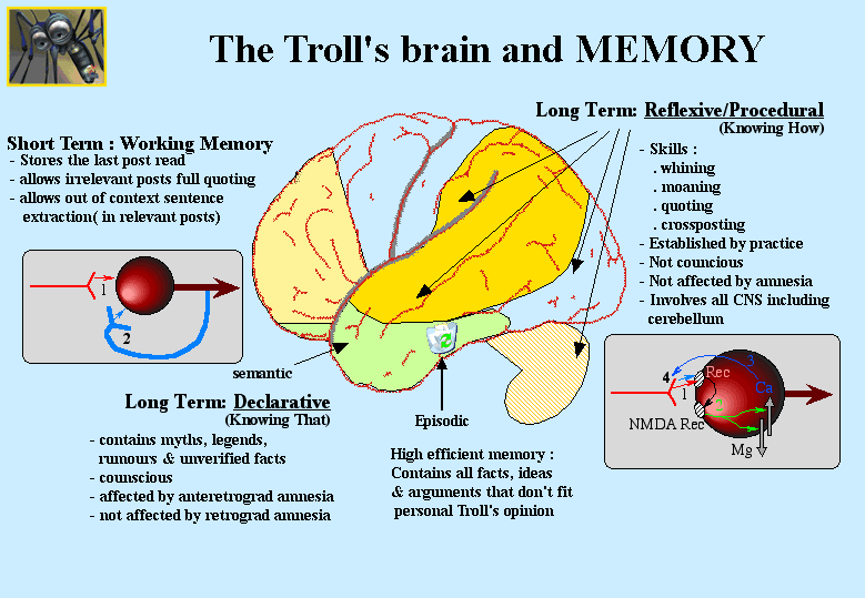 Troll%27s%20Brain%20and%20memory.gif