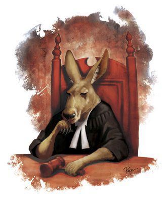 KANGAROO-KORT-JUDGE.jpg