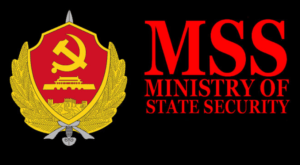 mss-300x165.png