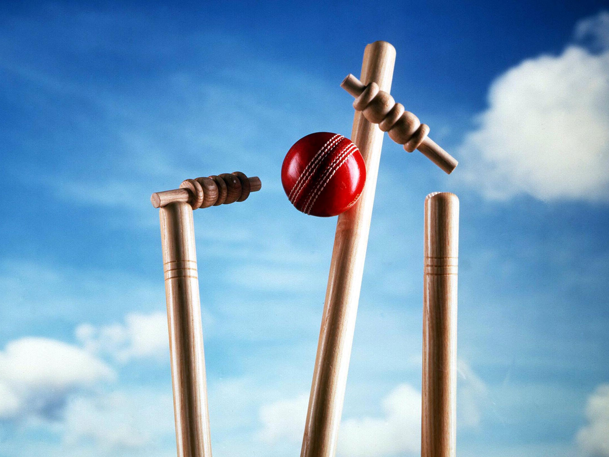 cricket.jpg