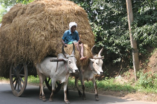 india2009-0070v2blog.jpg