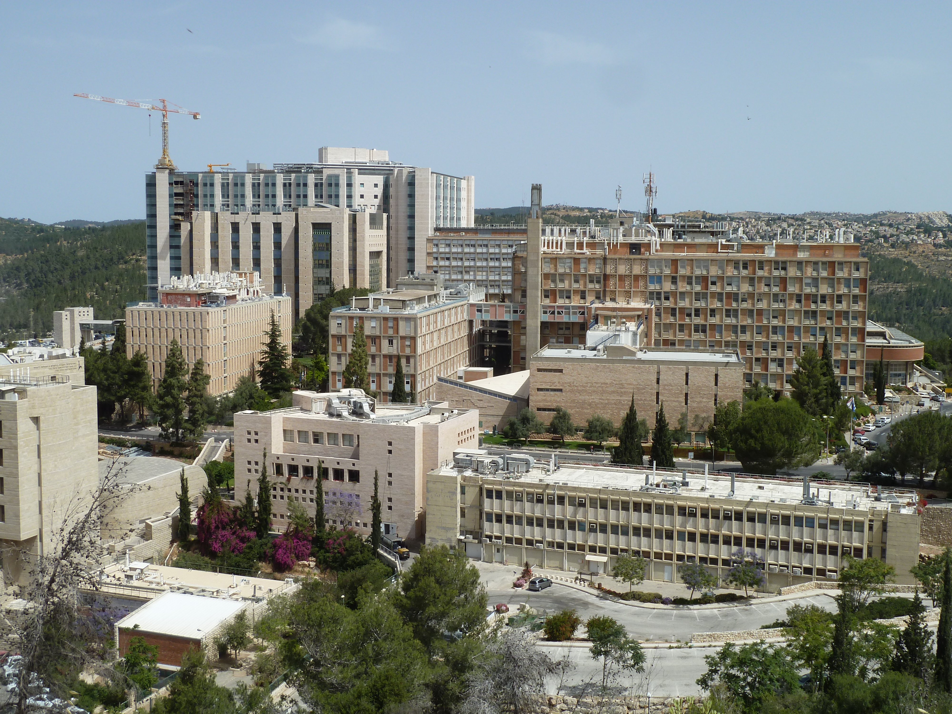 Hadassah_University_Hospital,_Ein_Karem_P1150420.JPG