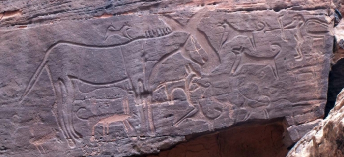 rock-art-dogs-hunting-equid.jpg