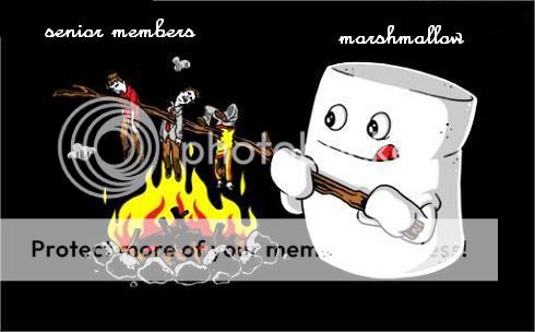 marshmallow-roast1.jpg