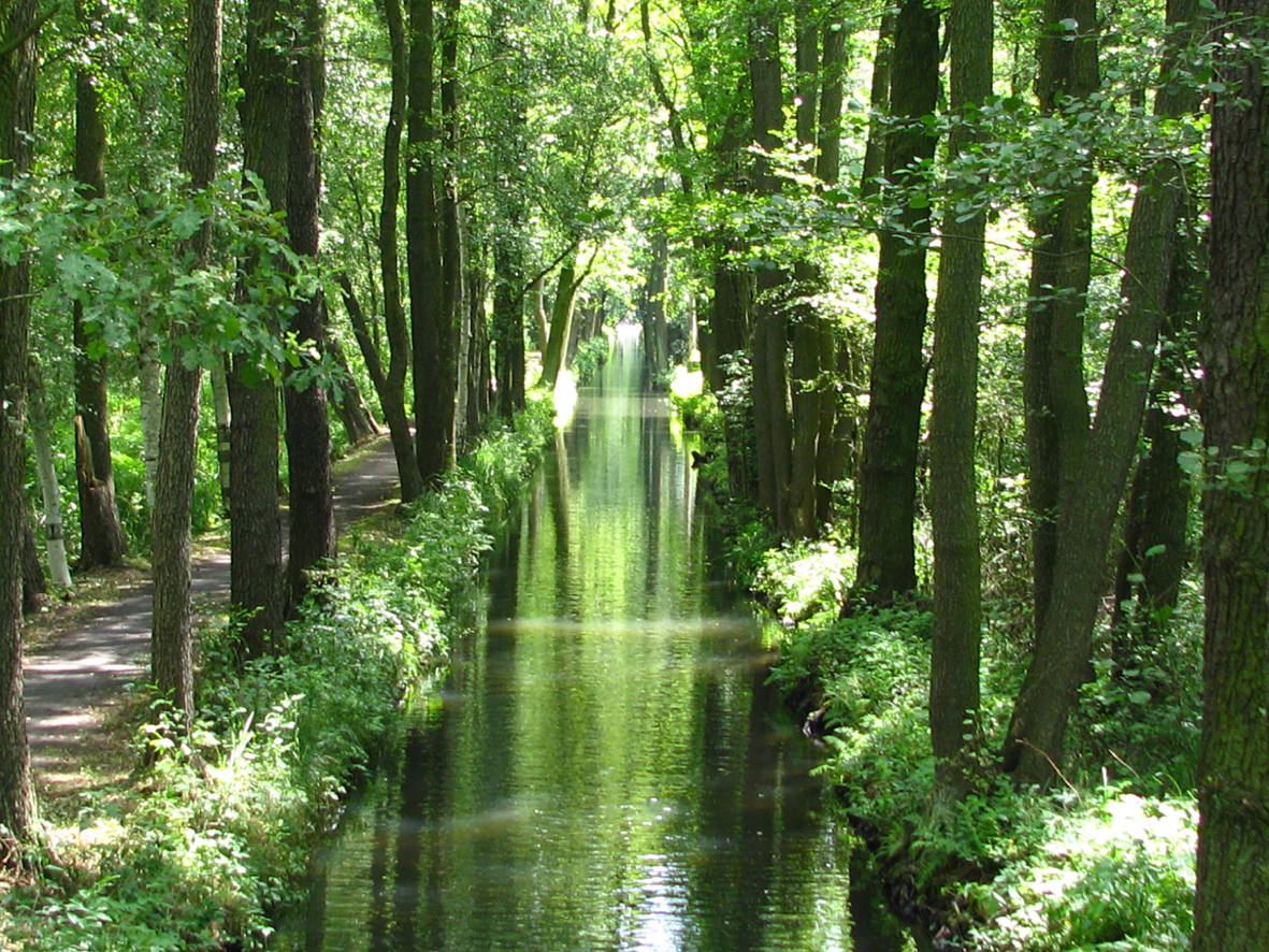 Spreewald.jpg